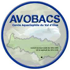 avobacs