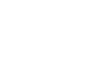 logo 80