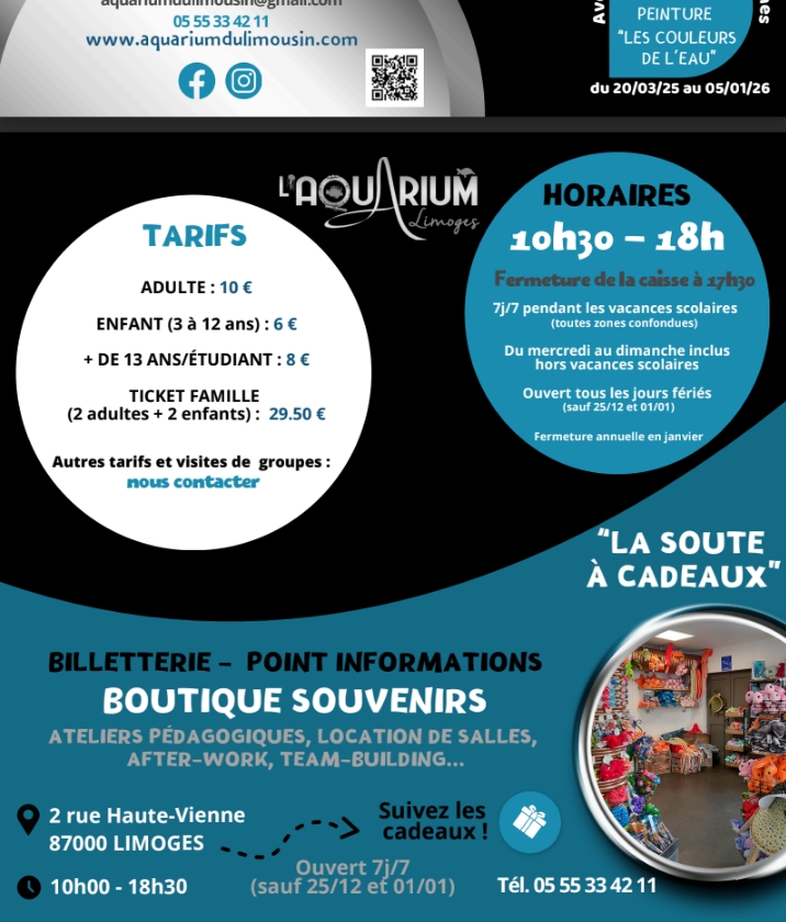 Limoges Flyer 2