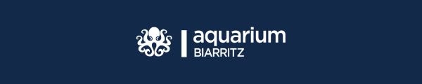 LogoBiarritzOctopus
