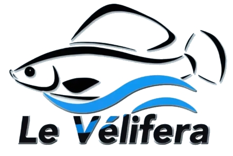 Velifera