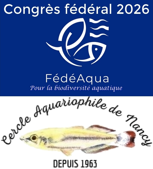 LogoFedeAquaNancy