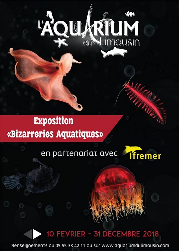 Limoges 2018