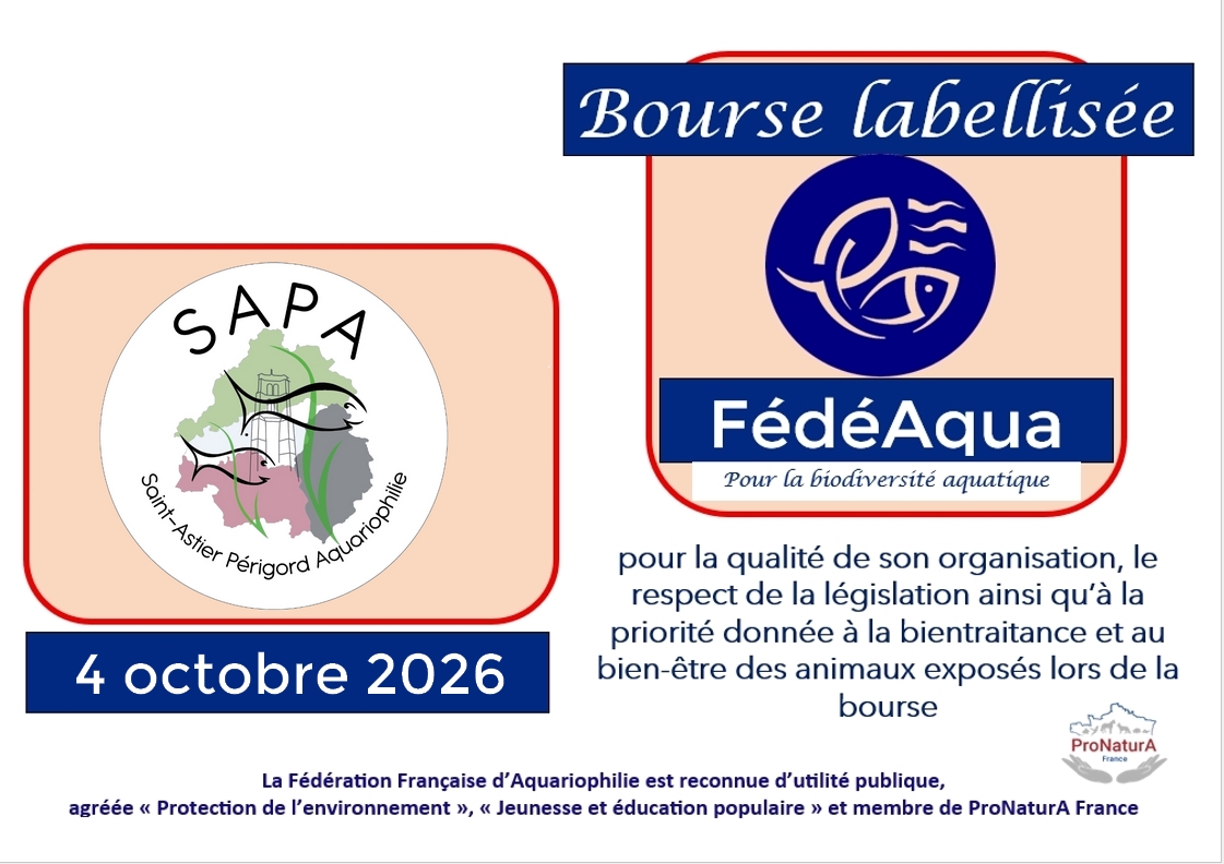 1004 St Astier2