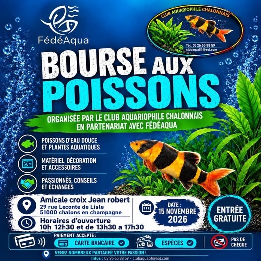 1115 Chalons