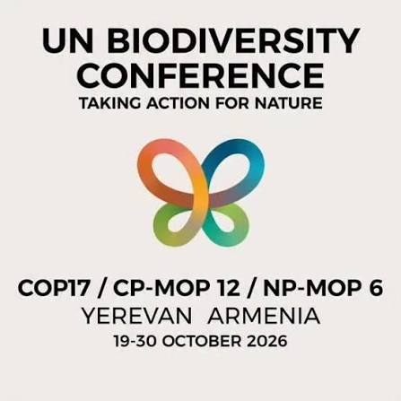 COP 17