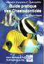 Chaetodontidés